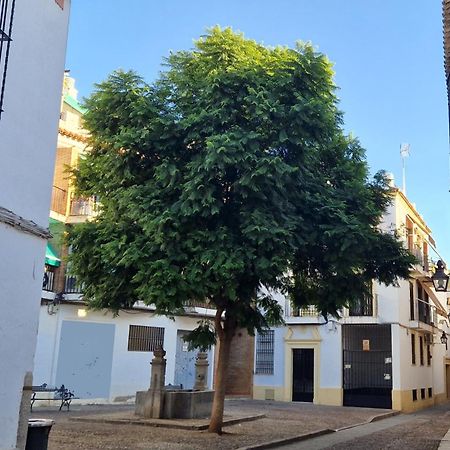 Terraza De La Axerquia Apartment Córdoba Exterior foto