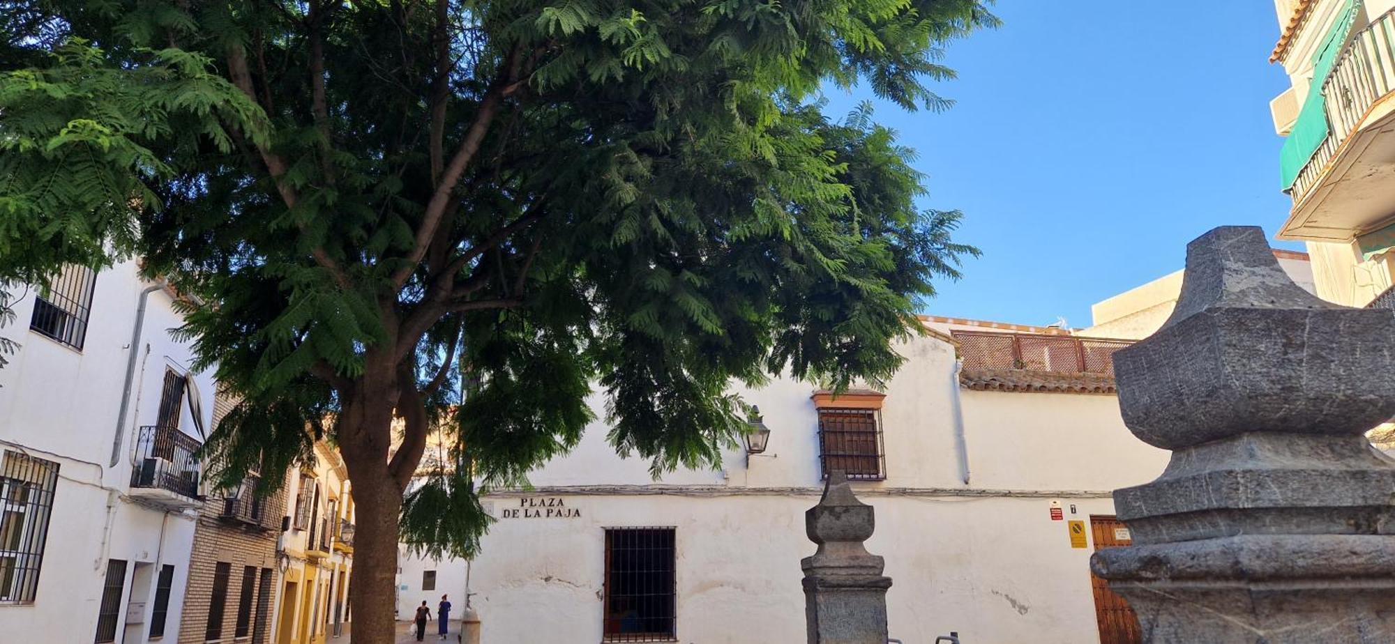 Terraza De La Axerquia Apartment Córdoba Exterior foto