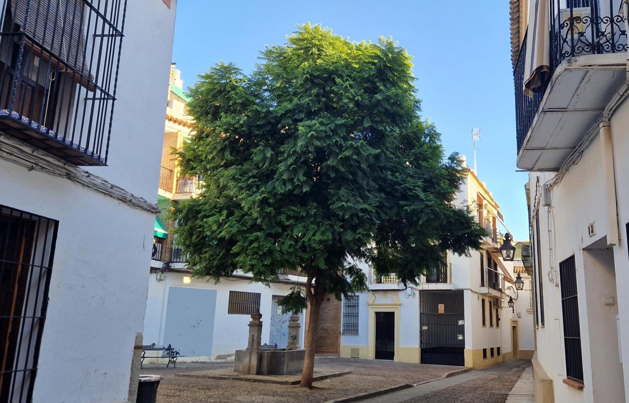 Terraza De La Axerquia Apartment Córdoba Exterior foto